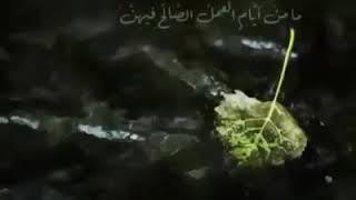 فضل عشر ذي الحجة - محمد بن صالح العثيمين