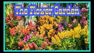 The Flowers Garden I non copy right music and video #PhilCan TV