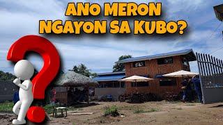 ANO MERON NGAYON SA KUBO?