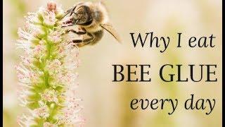 Bee Propolis Amazing & Proven Benefits of This Lesser Know Bee Product-Bee Glue- Remedies & Recipes