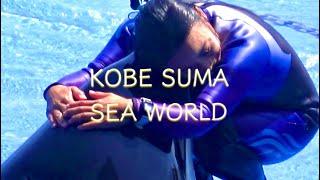 【西日本唯一】オルカパフォーマンス　神戸須磨シーワールド　シャチ　Orca Performance - Kobe Suma SeaWorld - June 2024