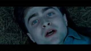 Fake Harry Potter and the Deathly Hallows Part II Trailer