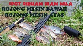 PASER IKAN NILA  UKLIK ROJONG MESIN BAWAH  BanagP Hunter