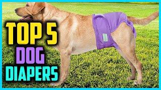  Top 5 Best Dog Diapers of 2024