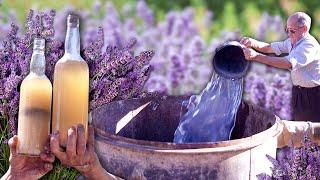 Destilación de LAVANDA o ESPLIEGO para obtener su ESENCIA natural de forma 100% artesana en el monte