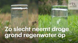 Getest zo slecht neemt gortdroge grond regenwater op