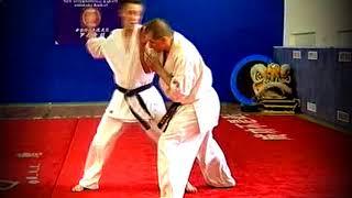 The technique of Ashihara-karate