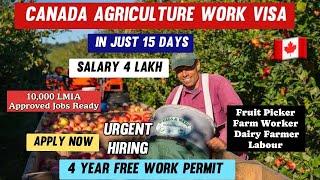 Canada 4 Year Free Fruit Picker visa  LMIA Approved Jobs  Salary 4 Lakh  Jobs In Canada
