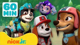 PAW Patrol  Trefft die NEUEN PAW Patrol-Mitglieder  Nick Jr. Deutschland