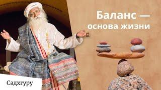 Жизнь сводит с ума? Как обрести баланс — Садхгуру