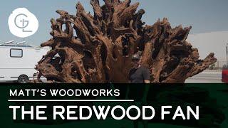 Sandblasting A 1000 Year Old Redwood Root