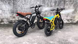 electric bicycle Rooder cb02 for adults for sale