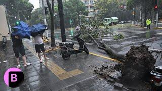 Counting Chinas Economic Losses From Typhoon Bebinca