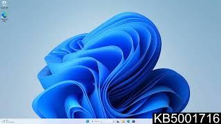 KB5001716 solve problems installing Windows Update HowTo Tutorial Guide Help