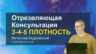 ОТРЕЗВЛЯЮЩАЯ Консультация 3-4-5 ПЛОТНОСТЬ. Вячеслав Кедровский