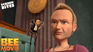 Examining Sting In Court  Bee Movie 2007  Screen Bites