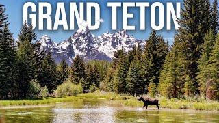 Grand Teton BEST Hikes Wildlife Delta Lake & Sights  National Park Guide