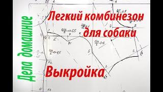 Как построить выкройку комбинезона для собаки. Повседневная одежда.