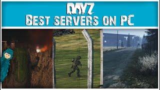 The Best PC Servers on DayZ  NEW 2024