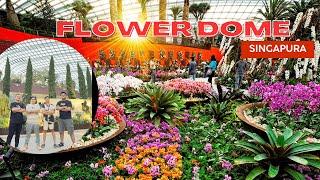 Flower Dome Gardens by the Bay Singapore KEBUN BUNGA BUATAN KELAS DUNIA