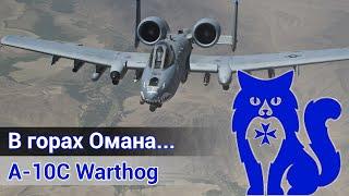 A-10C Warthog - В горах Омана... DCS World Stream  WaffenCat