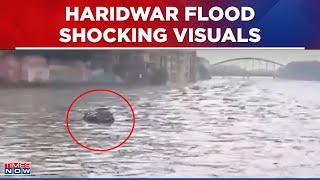 Haridwar Flood Vehicles Seen Floating After River Ganga Level Rises  Uttarakhand News  Heavy Rain