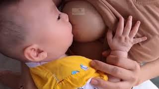 baby Drink Milk His mother 1122