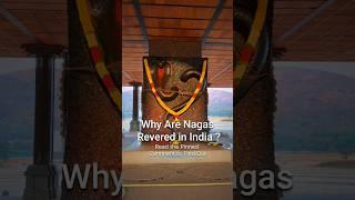 Why Are Nagas Revered in India?