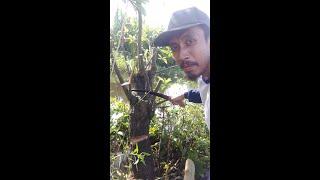 Berburu bahan bonsai mencari target pinggir kali eps 1