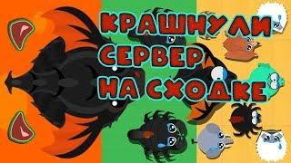 СХОДКА В MOPE.IO КРАШНУЛИ СЕРВЕР 