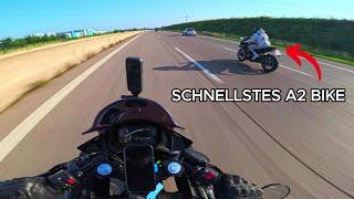 Ninja 650 vs CBR650R auf der Autobahn