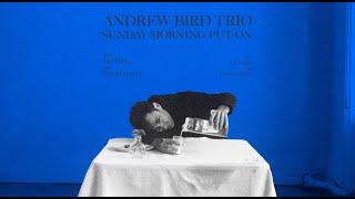 Andrew Bird - I Fall In Love Too Easily Official Audio