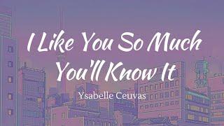 I Like You So MuchYoull Know It - Ysabelle Ceuvas Lyrics