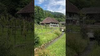 Swiss village at Ballenberg Open Air Museum