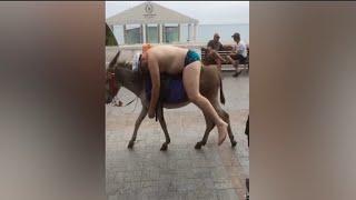 TOTAL IDIOTS AT WORK Top Funny Compilation 2024 - Top Funny Fail Compilation #150 not followed