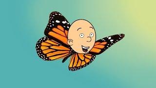 Caillou the Butterfly