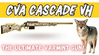 The All New CVA Cascade Varmint Hunter  The Ultimate Varmint Gun