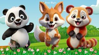 Wild Animal Sounds In Nature Panda Fox Red panda Zebra Meerkat  Animal Moments