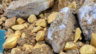 دیوانه معدنچی طلایی حفاری برای گنج در کوه به ارزش میلیون دلار از قطعات عظیم طلا.