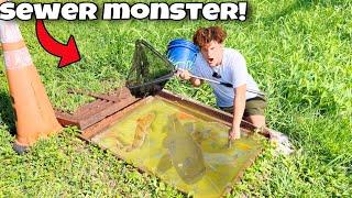 I Found MONSTER FISH Trapped In SEWER