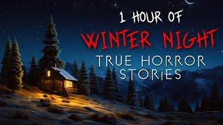 1 Hour of Winter Horror Stories for a Cold Night Alone  Vol. 1 Compilation