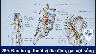 #269. Bệnh đau lưng thoát vị đĩa đệm và gai cột sống