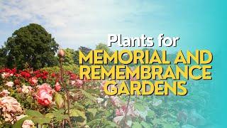 A Garden of Memories Plants for Memorial and Remembrance Gardens