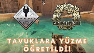 Yeni Counter Strike 2 Güncellemesi - Anubis ve Ancient Eklendi  Tavuklara Yüzme Öğretildi