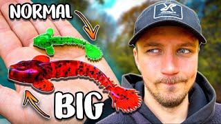 Small vs BIG Lures - What Works Best on Drop Shot?  Team Galant