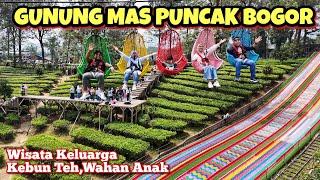 AGROWISATA GUNUNG MAS PUNCAK BOGOR TERBARU 202  WISATA DI PUNCAK YANG LAGI HITS DAN VIRAL