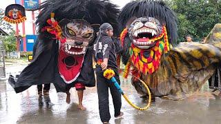 ATRAKSI 2 BARONGAN NGAMUK  Barongan Kesurupan Galak Banget satrio joyo Live anggaswangi BarongBoys