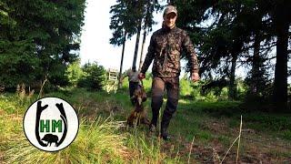 Jagd auf Rot-und Rehwild  Familienjagd  - Jagdkrone