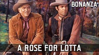 Bonanza - A Rose for Lotta  Episode 01  Western Series  FULL EPISODES  English