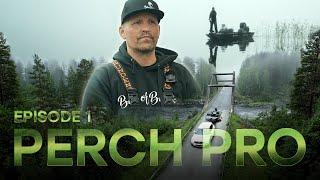 PERCH PRO 10 - Episode 1